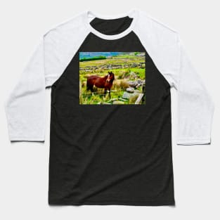 A horse stands in a field in the Welsh mountains Baseball T-Shirt